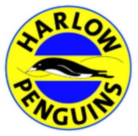 Harlow-Penguins