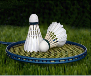 Badminton Clubs, Harlow
