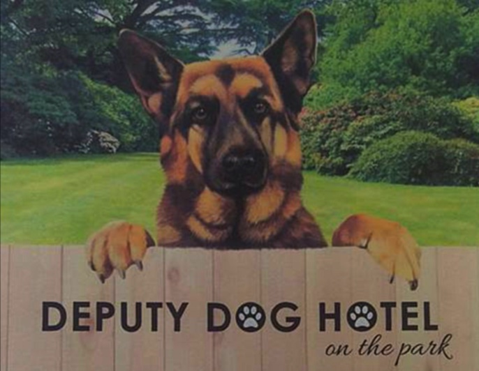 Dog Boarding – Deputy Dog Hotel, Harlow
