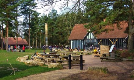 High Lodge for a family day out