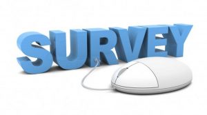 Paid-on-line-surveys