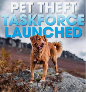 Pet-Theft-Taskforce-Launched