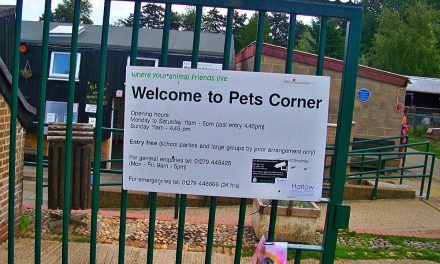 Pets Corner, Harlow