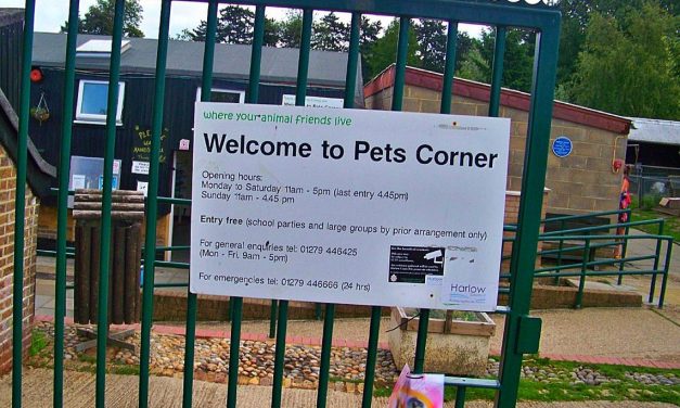 Council planning for the phased reopening of Pets’ Corner