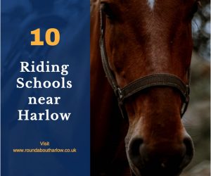 10 Riding Schools near Harlow