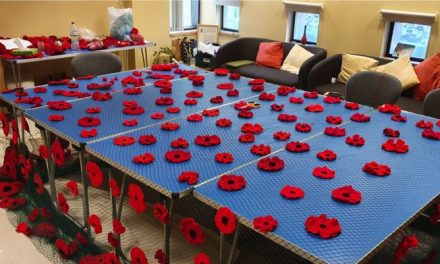 Public poppy displays to be unveiled in Harlow later this month