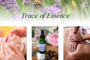 Trace-of-Essence-feature-photo